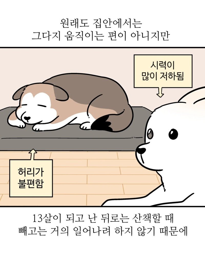 04.jpg