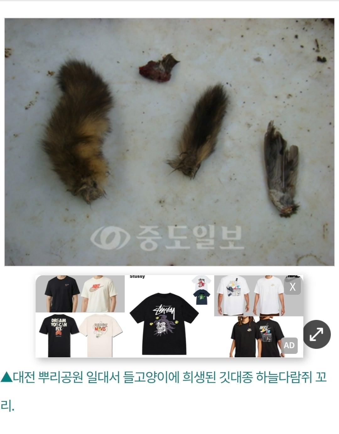 개씹좆냥이-005.jpg