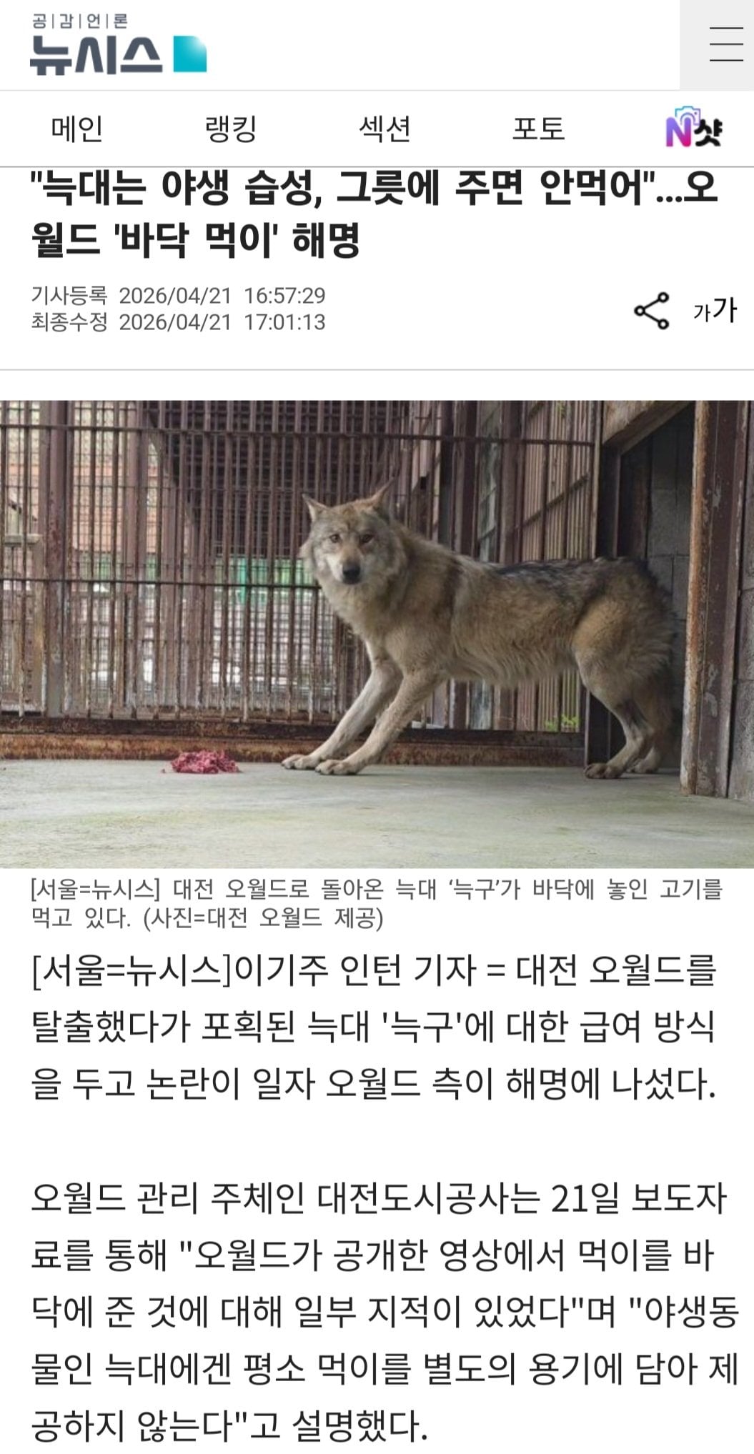 Screenshot_20260421_172358_Samsung Internet.jpg 늑구 바닥 먹이 논란 해명나선 오월드 ㄷㄷ.jpg