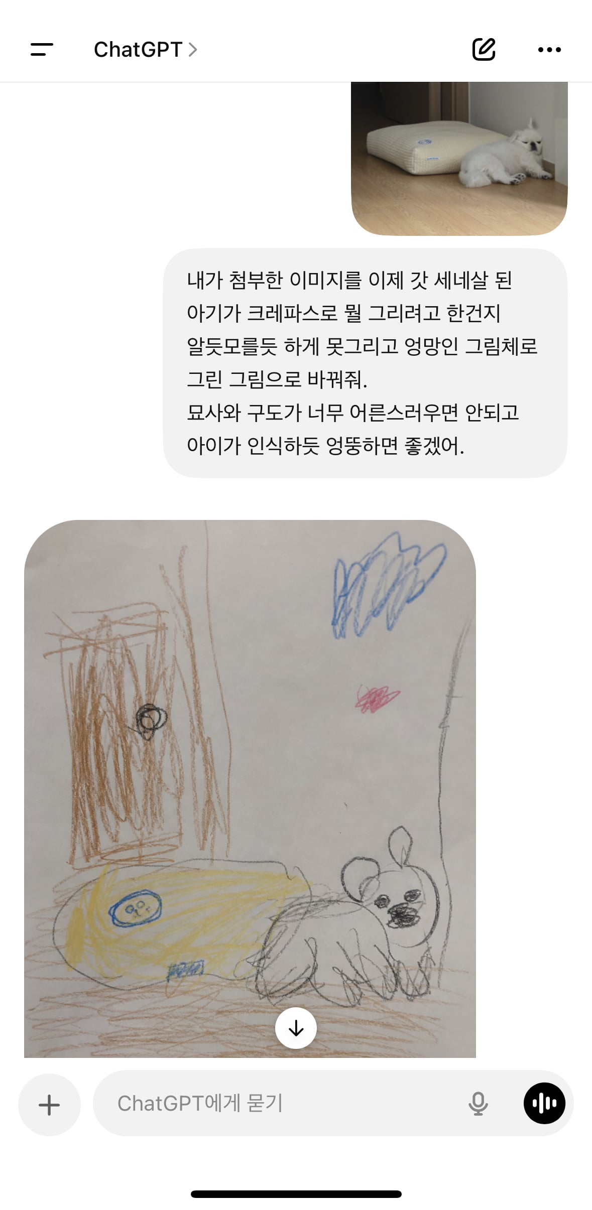 1777632903377.jpg