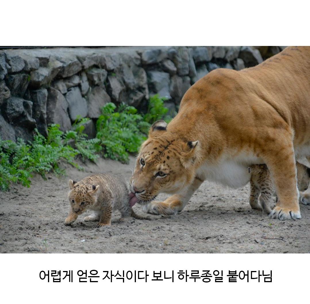 Screenshot_20260502_204820_Instagram.png