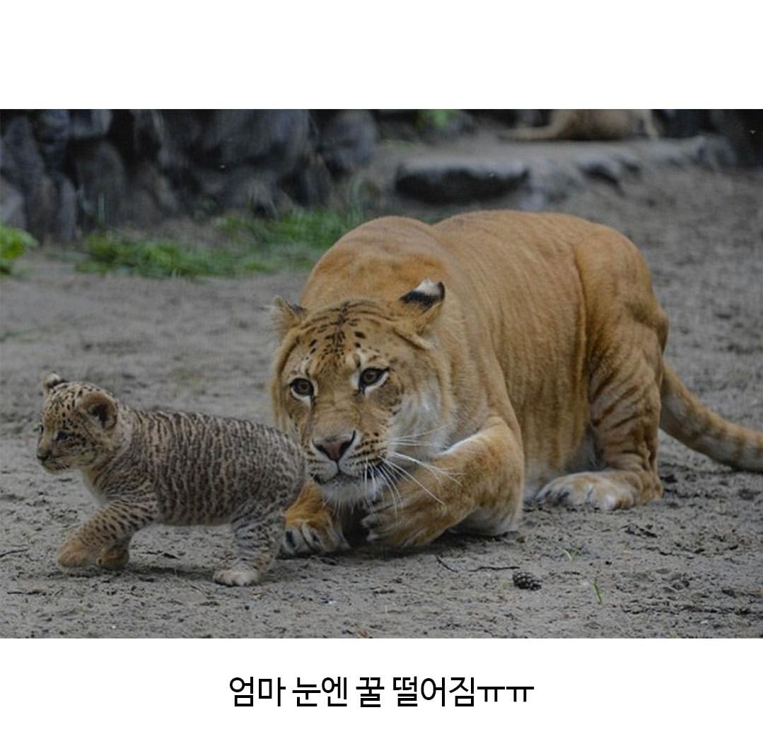 Screenshot_20260502_204835_Instagram.png