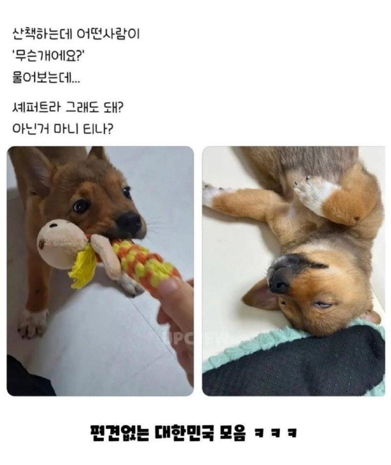 591fd22bd8f40597c62c46d972a8cdcb731e62b1.jpg