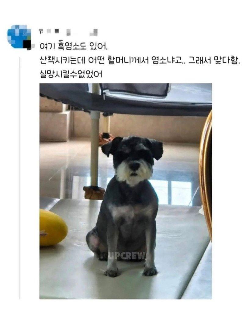 1b79c1e25d1ecad2b8be2bd4f6b2a9f899e494ea.jpg