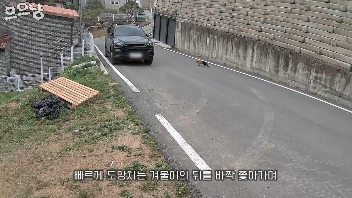 그 하루는 너무 많은 걸 앗아가 버렸다 0-43 screenshot.png