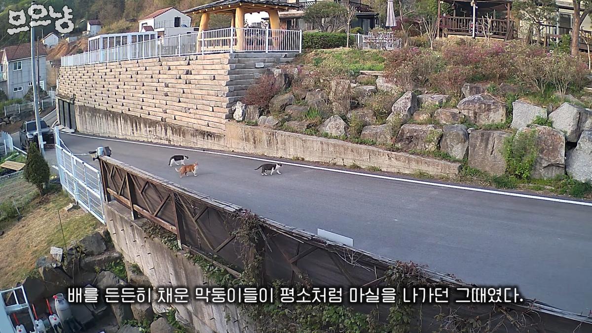 그 하루는 너무 많은 걸 앗아가 버렸다 0-18 screenshot.png
