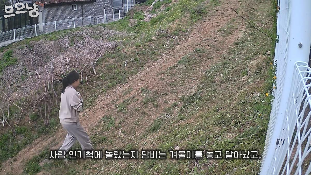 그 하루는 너무 많은 걸 앗아가 버렸다 1-55 screenshot.png