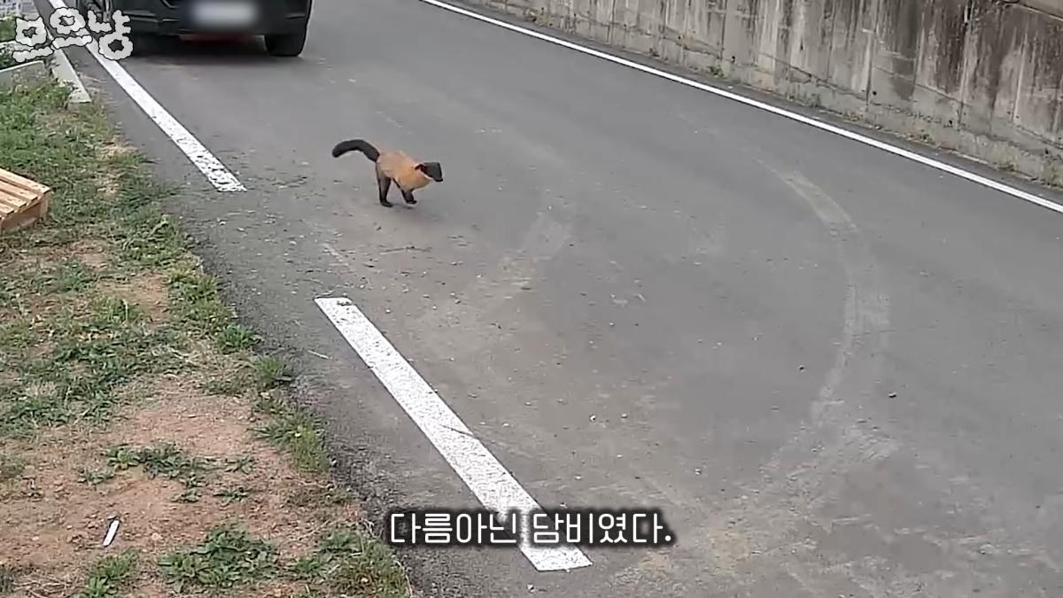 그 하루는 너무 많은 걸 앗아가 버렸다 0-57 screenshot.png