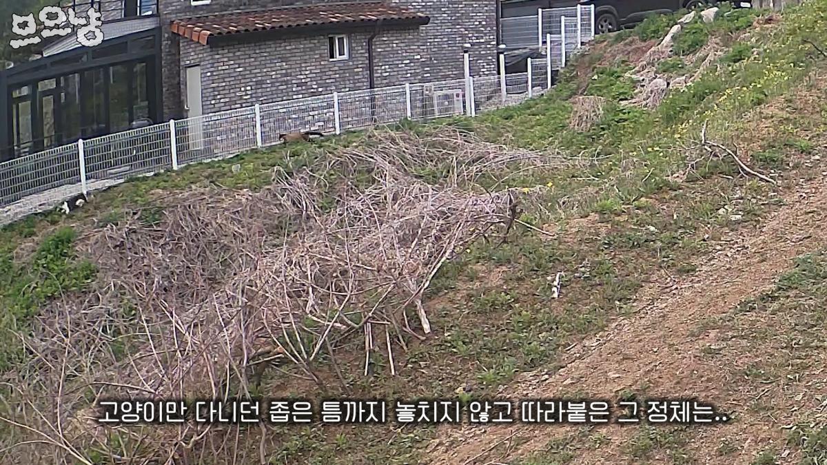 그 하루는 너무 많은 걸 앗아가 버렸다 0-49 screenshot.png