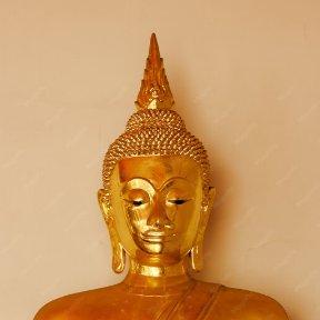 screencapture-magnific-kr-premium-photo-beautiful-golden-buddha-pedestal-some-white-walls-4863429-htm-2026-05-11-14_00_55.png