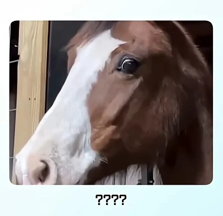 19a9fc4d29e496e82.png.jpg