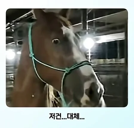 19a9fc508d6496e82.png.jpg