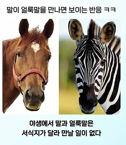 19a9fc4b1c7496e82.png.jpg