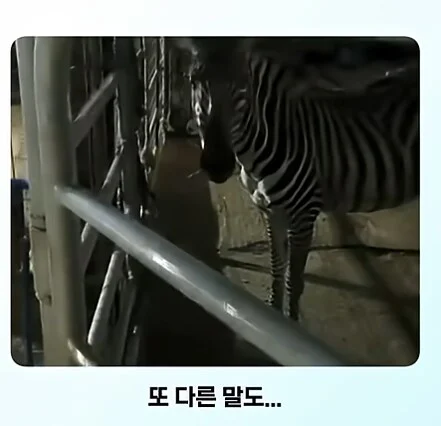 19a9fc4e397496e82.png.jpg