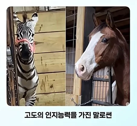 19a9fc519b7496e82.png.jpg
