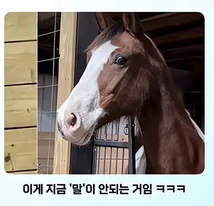 19a9fc52997496e82.png.jpg