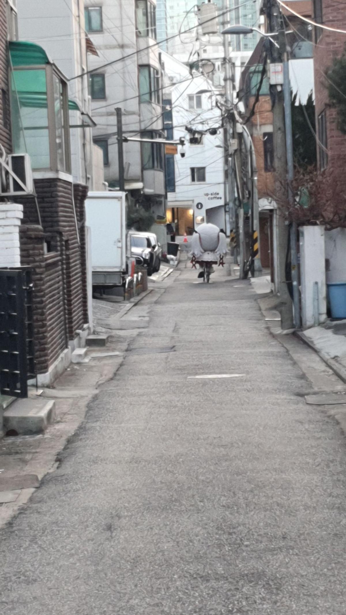IMG_8155.jpeg