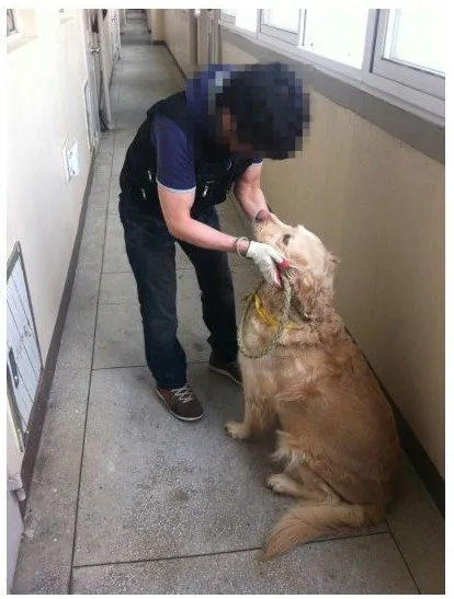 Internet_20260513_000642_7.png 20대 여성 고독사 유품정리 후기.jpg