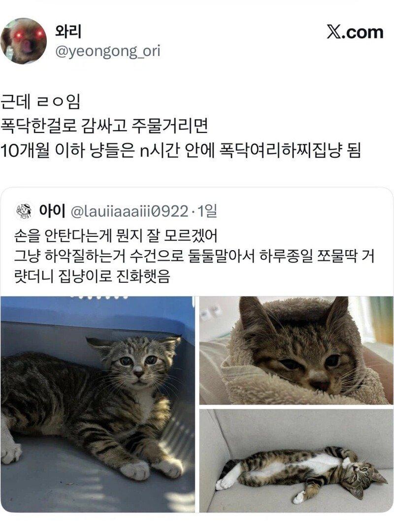 01.jpg