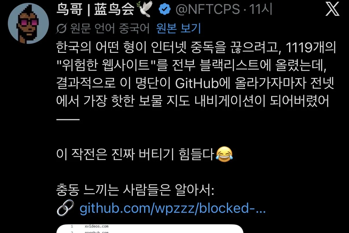 IMG_0987.webp 한국 정부 유해 차단 사이트 특.jpg