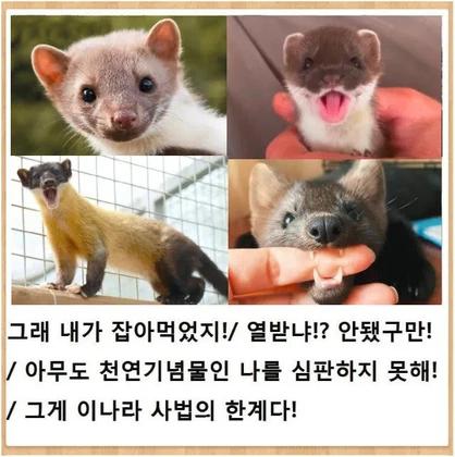 196cc1ff-0782-4904-b442-9b0f520043d3_f1dc662f_687c_4247_9.webp