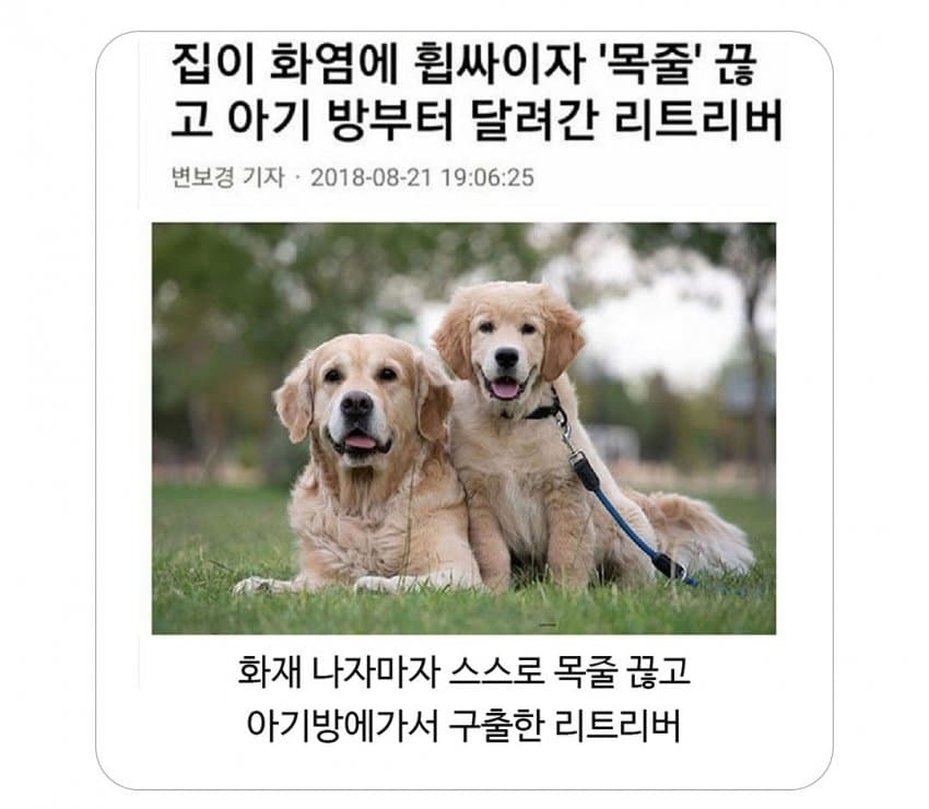 singlebungle1472-20251209-095140-000-resize.jpg