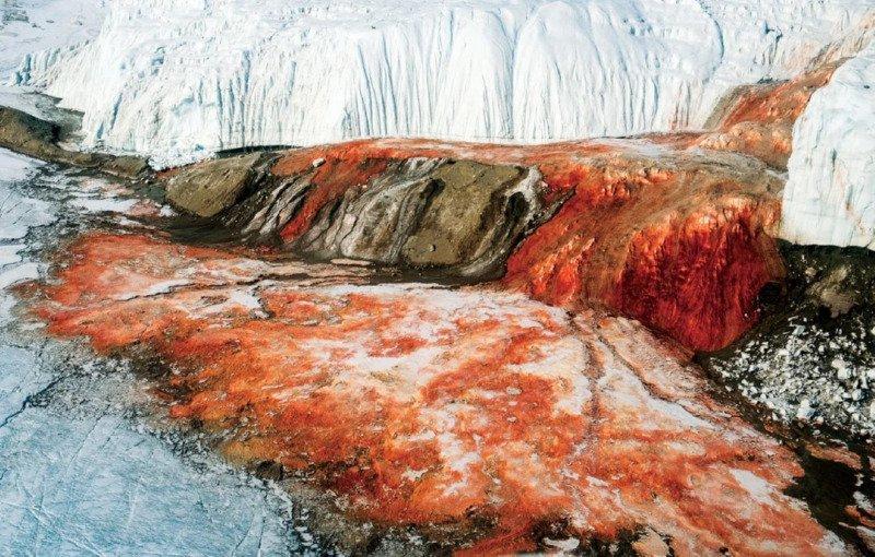 blood-falls-in-antarctica-formed-by-a-subterranean-lake-v0-w6byetgu461h1.jpeg