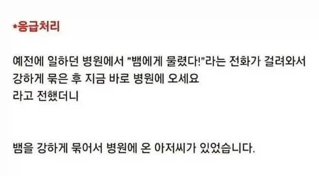 뱀.jpg