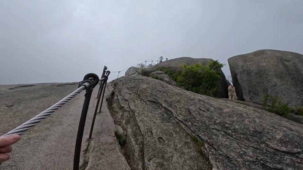 Blake Burnette - I Almost Died Hiking Alone in Seoul. [5rupp1T2iQE - 990x557 - 19m55s].jpeg