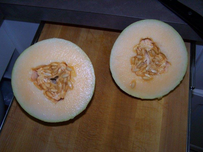 Cut_melon.jpg