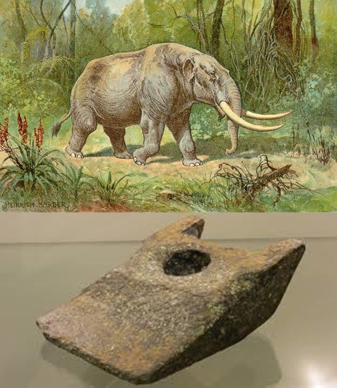 Mastodon_color-vert.jpg