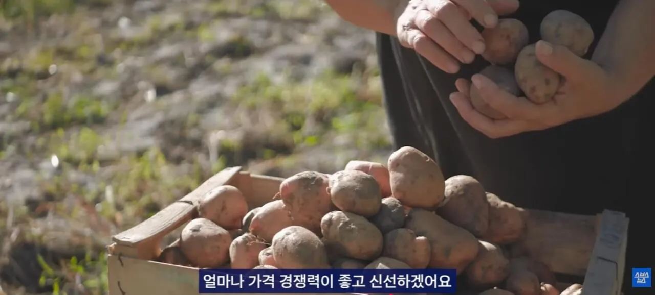 2026-05-24 16;13;11.JPG 중국에서 초대박 한국 과자.JPG