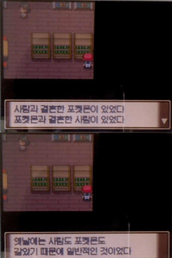 B.jpg