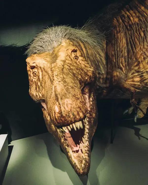 probably-the-most-creepiest-t-rex-picture-i-can-find-v0-4rc7qcgttakg1.webp