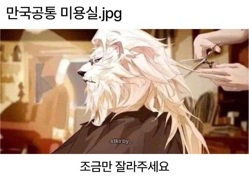 02.jpg