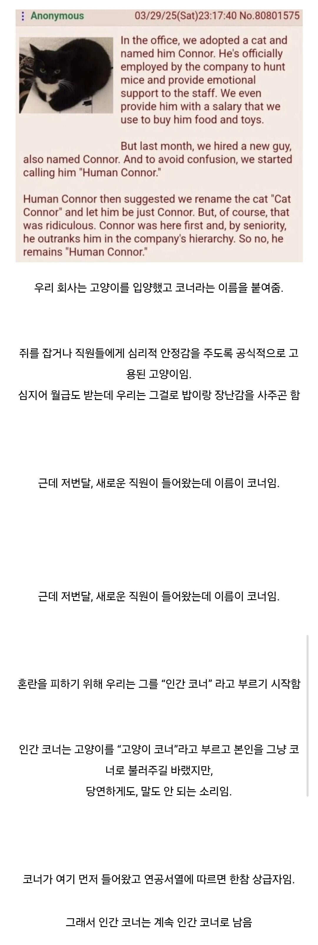 미국직장서열.jpg