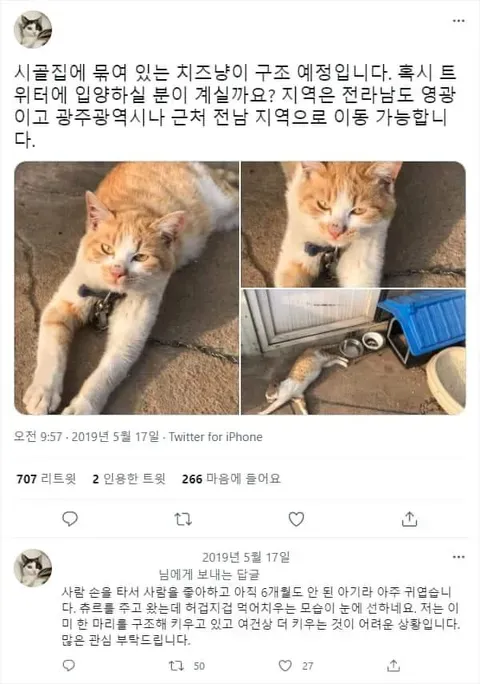 iloveanimal-20260617-180916-0001-IZGNXC4D.webp