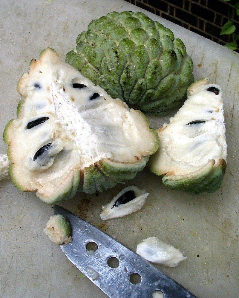 Custard_Apple.jpg