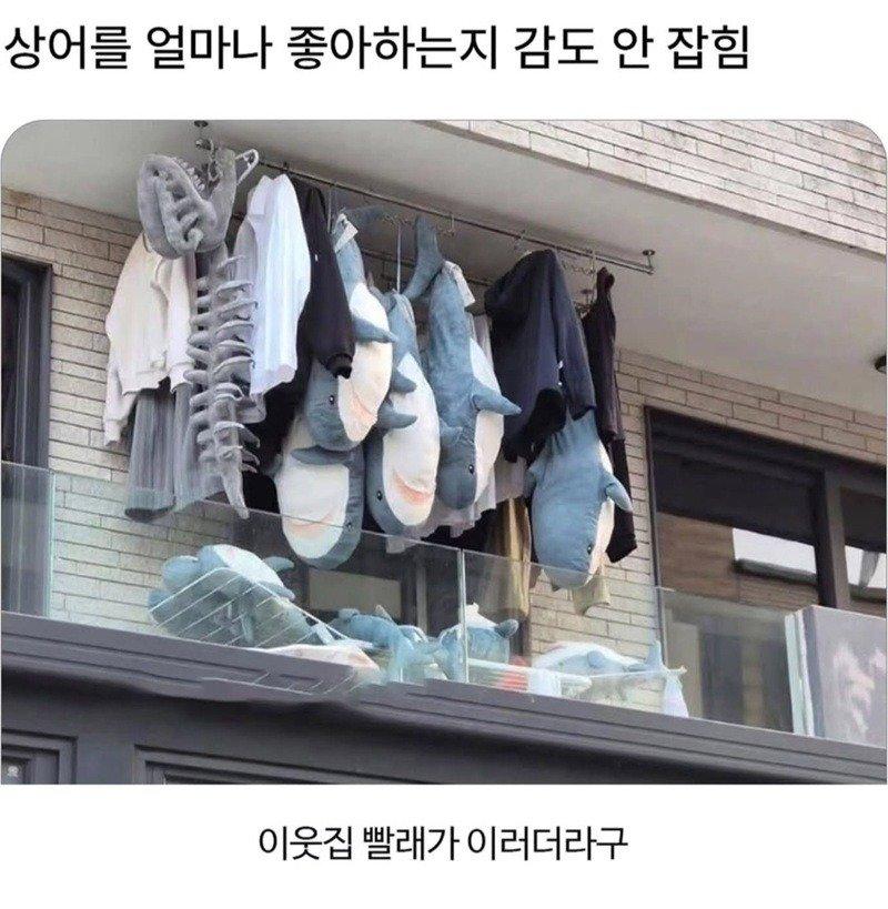 02.jpg