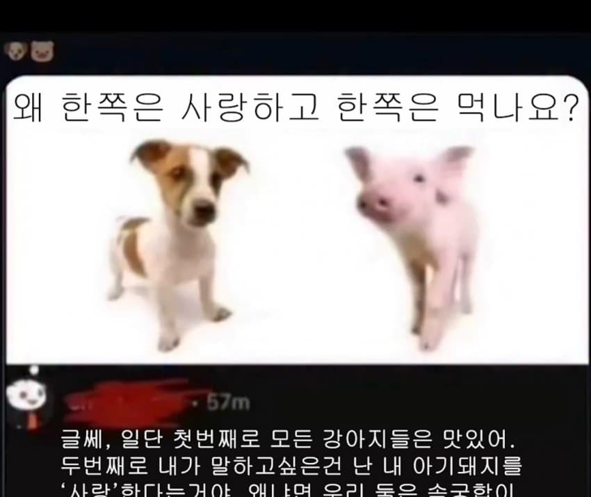 1782234516.jpg