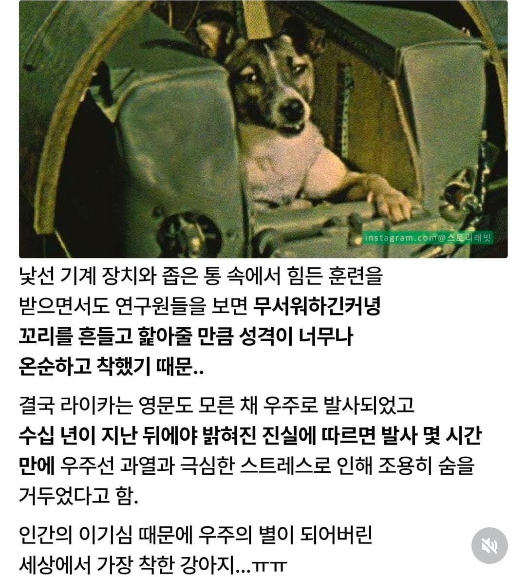Screenshot_20260626_105946_Instagram.jpg