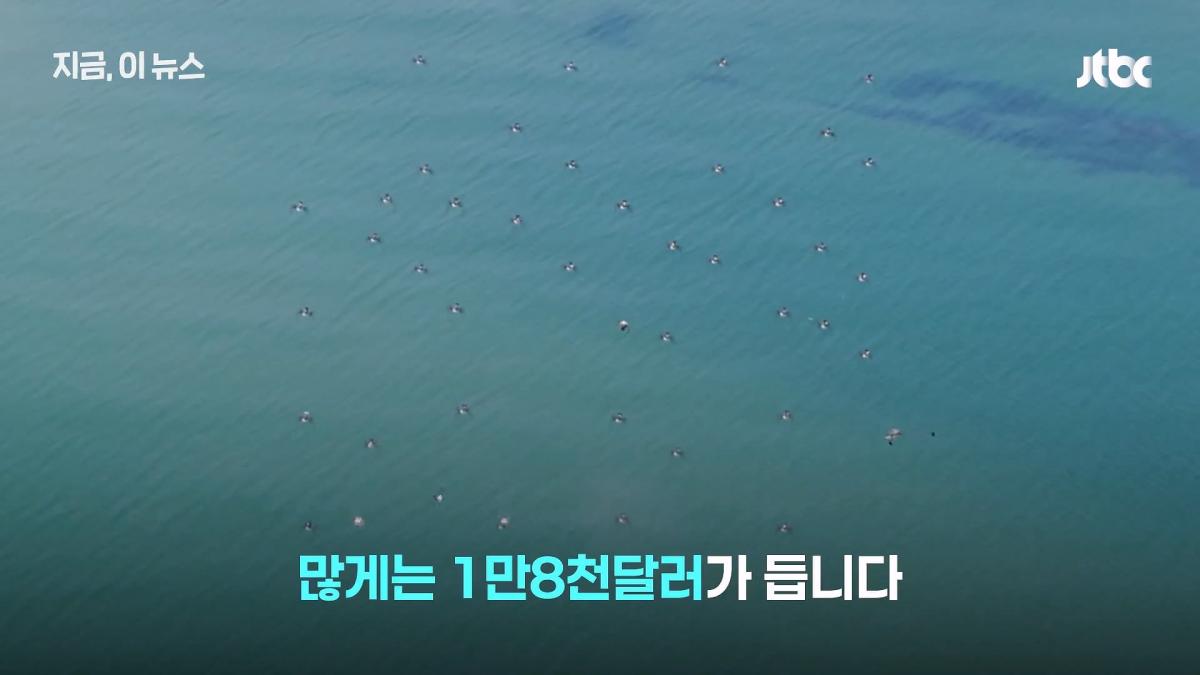 한국군, 쇼 하고 있다_.'드론 훈련' 비판한 우크라 매체, 왜_｜지금 이 뉴스_20260630_125024.670.jpg