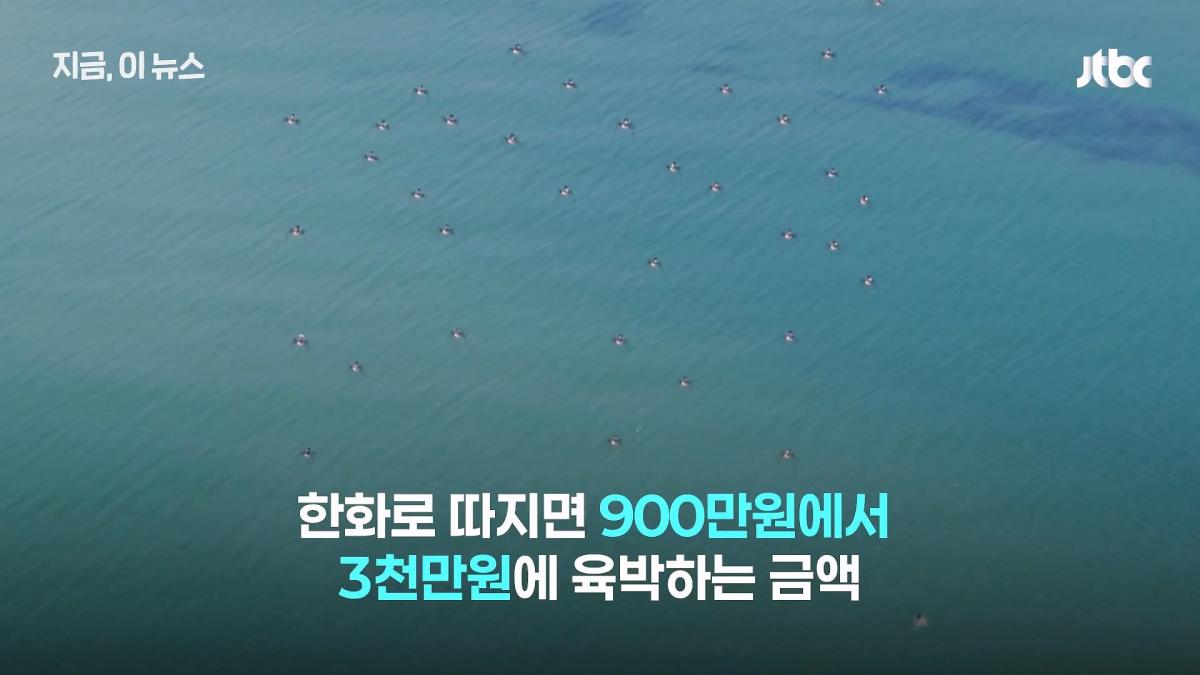 한국군, 쇼 하고 있다_.'드론 훈련' 비판한 우크라 매체, 왜_｜지금 이 뉴스_20260630_125028.454.jpg