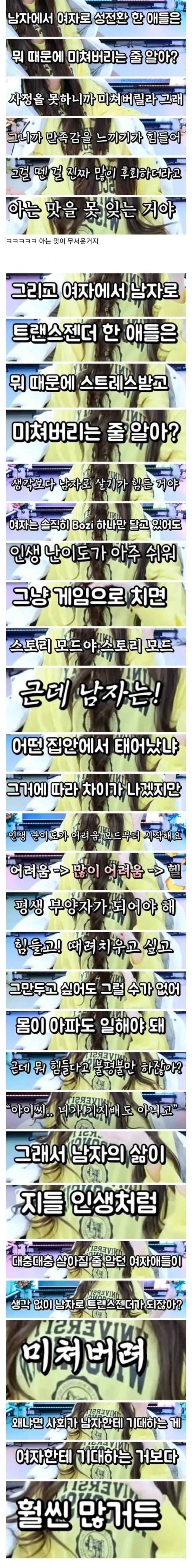 12313.jpg