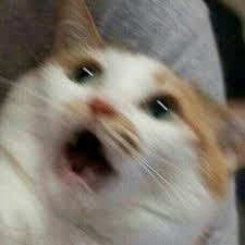 nollaneun-jjal.jpg