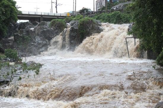5509_2964_4440.jpg