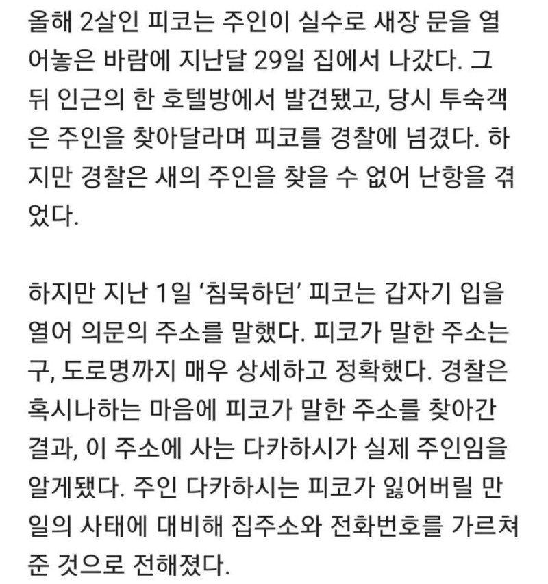 실종 앵무새, 경찰에 집주소 대고 돌아와2.jpg
