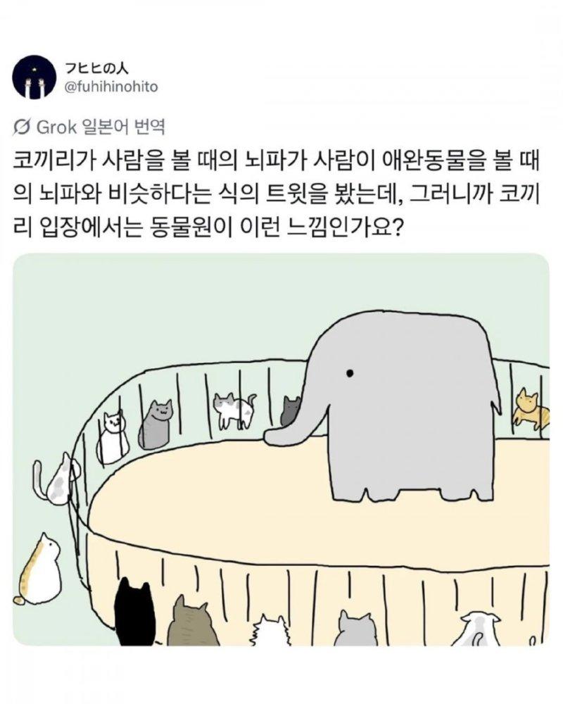 동물원에 사람이 오면 가장 즐거워 하는 동물은 놀랍게도2.png