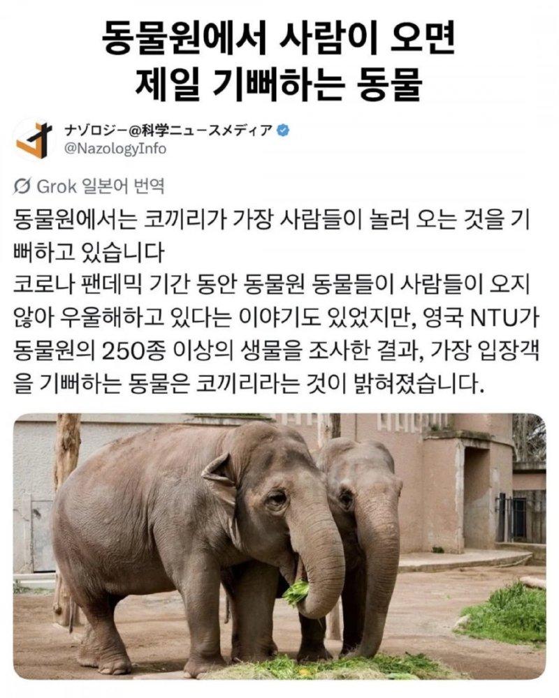 동물원에 사람이 오면 가장 즐거워 하는 동물은 놀랍게도1.png