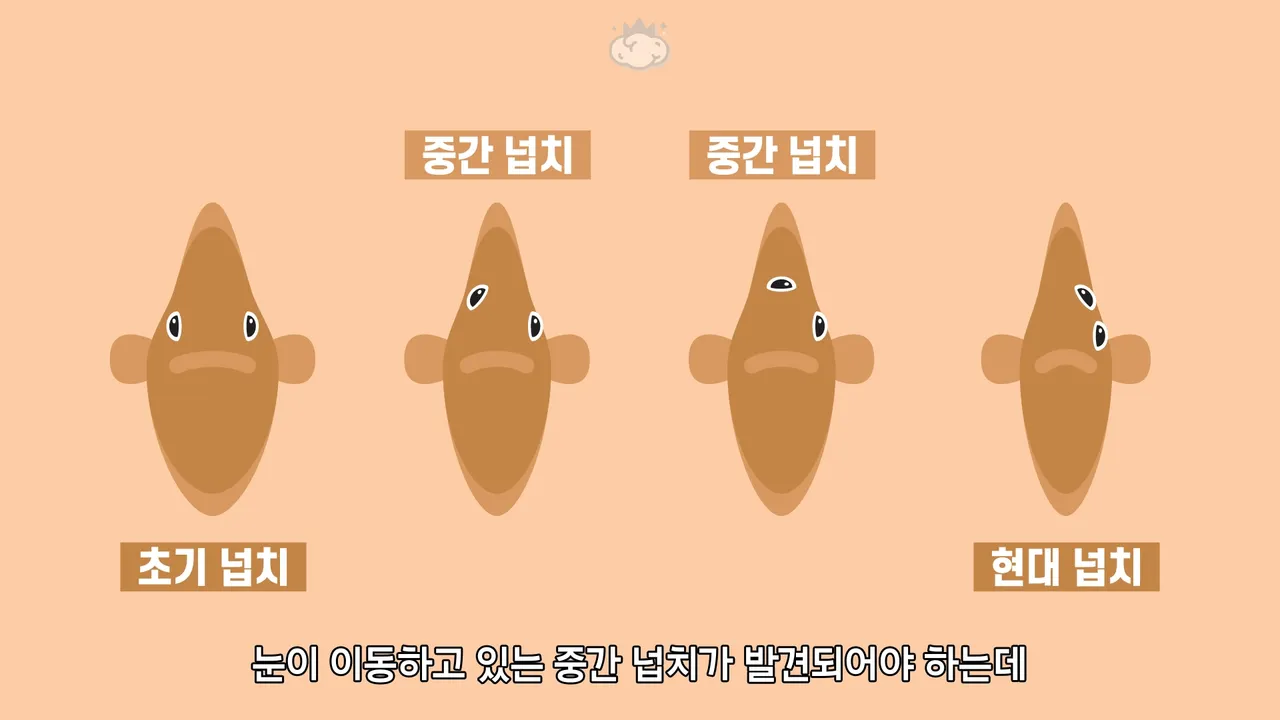 e5378e508fc45deee9525feebd56f21049ce0d3778a37e25a8db343e4673b12e.webp